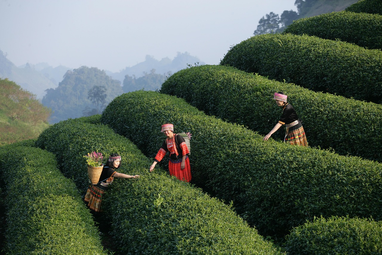 d&eacute;couvrez l'importance de l'exp&eacute;rience utilisateur (ux), ses principes cl&eacute;s et les meilleures pratiques pour concevoir des interfaces intuitives, efficaces et attrayantes, qui favorisent la satisfaction et la fid&eacute;lisation des utilisateurs.