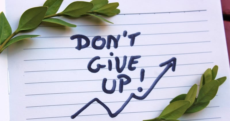Lettre de motivation pour stage de 3e vétérinaire : nos conseils pour convaincre